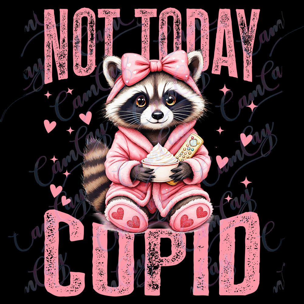 Anti-Valentine’s Raccoon 4x4 Transfer image 0