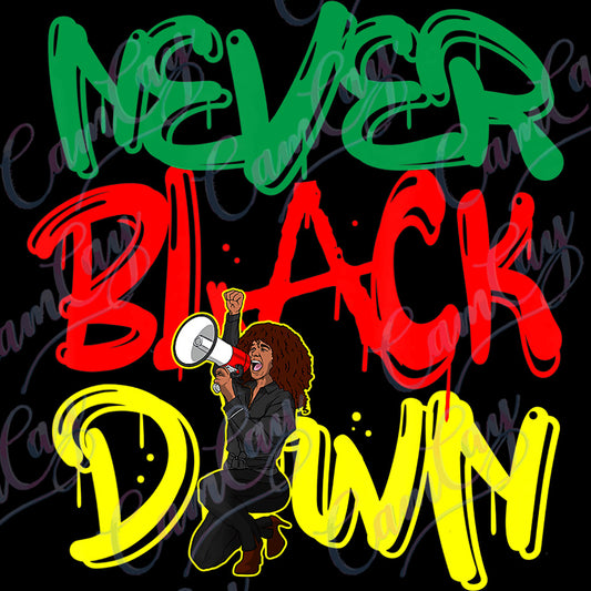 NEVER BLACK DOWN TRANSFER image 0