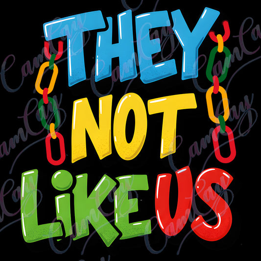 THEY NOT LIKE US TRANSFER image 0