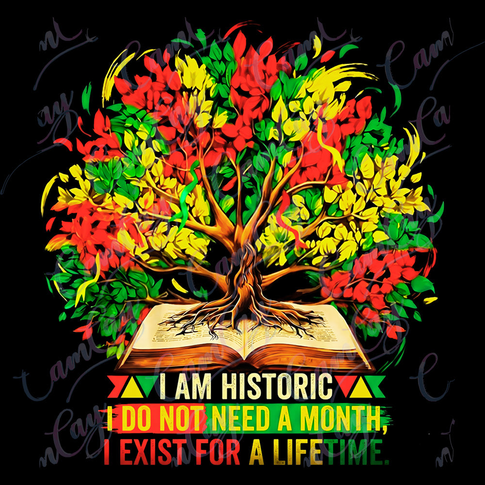 I AM HISTORIC – Lifetime Legacy 4x4 Transfer image 0