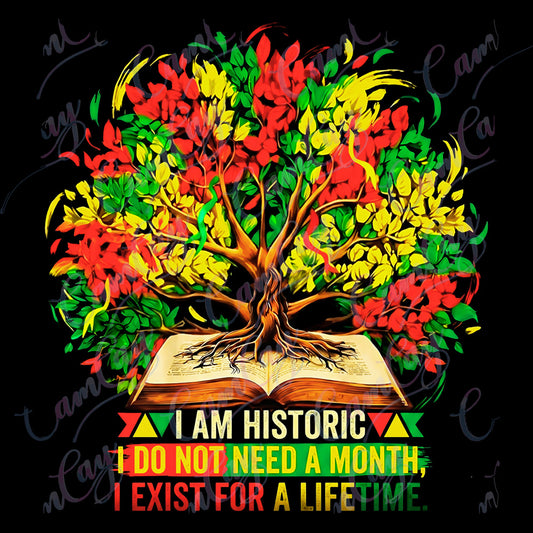 I AM HISTORIC – Lifetime Legacy 4x4 Transfer image 0