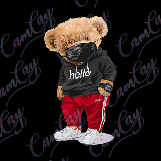 HELLO TEDDY TRANSFER image 0